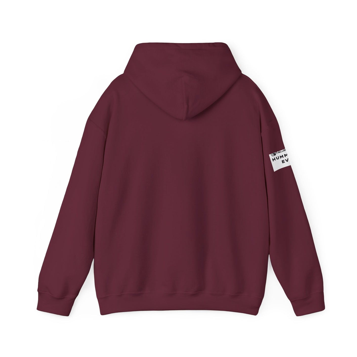 Humm EV Hooded Sweatshirt - Cozy Unisex Apparel for Car Lovers, Casual Wear, Gift for Him/Her, Road Trip Hoodie, Lightweight Sweatshirt